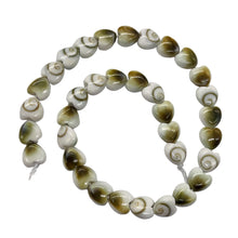 Load image into Gallery viewer, Shiva Shell Half Strand Heart Cut Beads | 6x3mm | White, Tan | 35 Beads
