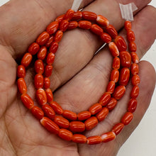 Load image into Gallery viewer, Coral Oval Graduated Beads Strand | 16&quot; Long | 8x4 to 6x3mm | Red | 1 Strand |

