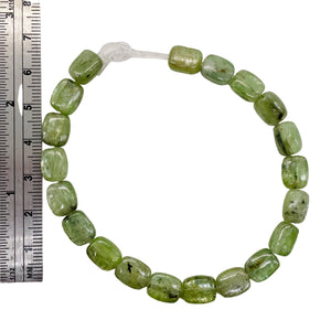 Silver Schiller Kyanite Bead Parcel | 10x8mm | Green Silver | 6 Beads |