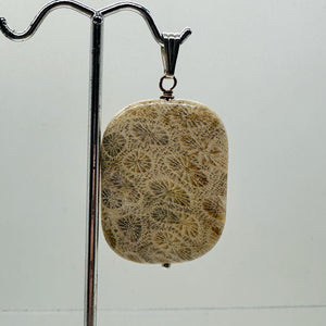 Coral Fossilized with Flower-Like Inclusions Sterling Silver Pendant | 2" Long |