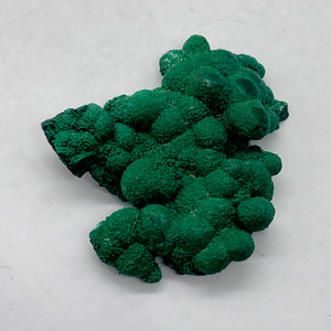 Malachite 7 Gram Natural Display Specimen | 27x25x6mm | Green | 1 Specimen |