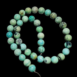Robin Egg Blue 10-11mm USA Turquoise Bead Strand 107416B