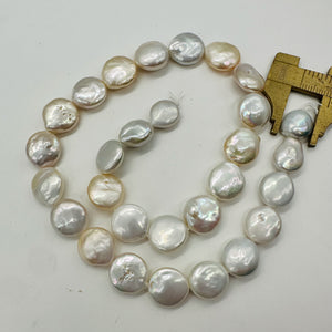 Amazing Natural Multi-Hue FW Coin Pearl Strand 104757B