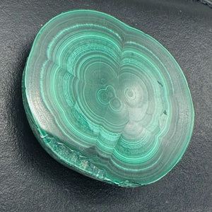Malachite 36g Polished Round Stalactite Slice | 43x3=x8mm | Green | 1 Specimen |