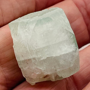 Apophyllite Collectors Crystal | 20g | 25x23x22mm | Green | 1 Display |Specimen|