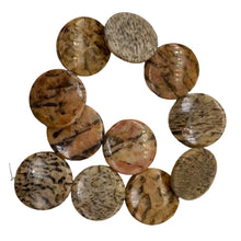 Load image into Gallery viewer, Feldspar Coin Bead Strand | 35x6mm | 11 Beads | Tan Black Red |
