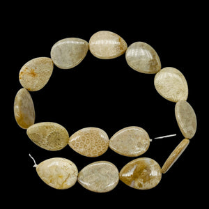 Fossilized Coral Flat Pear Pendant Bead Strand 107084