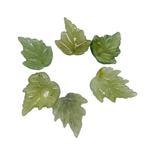 Load image into Gallery viewer, New Jade Carved Serpentine Leaf Bead Set | 28x23x4 to 23x24x4mm | 6 Beads |
