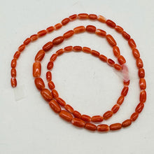 Load image into Gallery viewer, Coral Oval Graduated Beads Strand | 16&quot; Long | 8x4 to 6x3mm | Red | 1 Strand |
