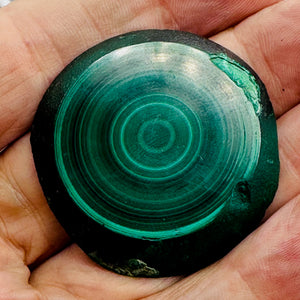 Malachite 351g Polished Round Stalactite Slice | 45x42x7mm | Green | 1 Specimen|