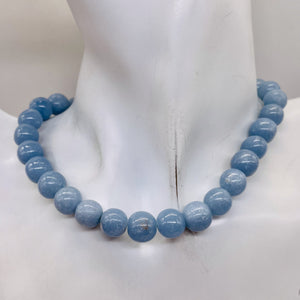 Angelite 16" Round Bead Strand | 10mm | Blue | 42 beads |