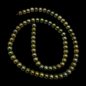 Fresh Water Pearls 16" Strand Round Pearls | 5mm | Golden Green | 1 Strand |