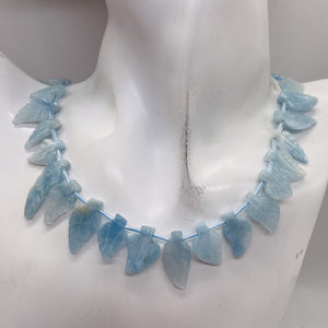 Natural Aquamarine Leaf Bead Strand | 145cts | 22x10x5 - 16x10x4mm | 35 Beads |