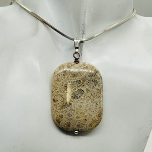 Coral Fossilized with Flower-Like Inclusions Sterling Silver Pendant | 2" Long |