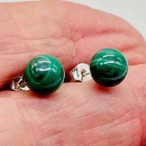 Malachite Sterling Silver Post Round Earrings | 8mm | Green | 1 Pair |