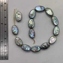 Load image into Gallery viewer, Platinum Green Oval Coin Pearl 8&quot; Strand 9948HS
