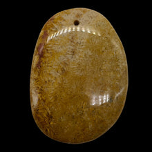 Load image into Gallery viewer, Fossilized Coral Oval Pendant Bead | 58x41x6mm | Beige Orange |

