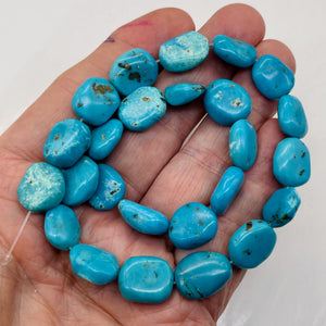 Natural Turquoise Flat, Smooth Nuggety Bead Strand 109352