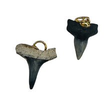 Load image into Gallery viewer, Shark Teeth Natural Fossilized Pendants | 1&quot; Long | Grey, White | 2 Pendants |
