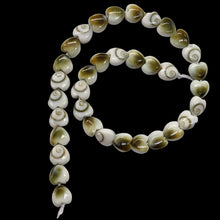 Load image into Gallery viewer, Shiva Shell Half Strand Heart Cut Beads | 6x3mm | White, Tan | 35 Beads
