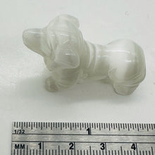 Load image into Gallery viewer, Dachhound Puppy Dog Carved Statue | 1 Figurine | | 40x17x25mm | Clear, White
