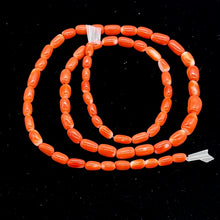 Load image into Gallery viewer, Coral Oval Graduated Beads Strand | 16&quot; Long | 8x4 to 6x3mm | Red | 1 Strand |
