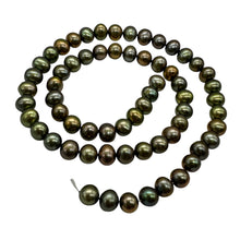 Load image into Gallery viewer, Fresh Water Pearls 16&quot; Strand Round Pearls | 7mm | Golden Green | 1 Strand |
