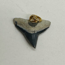 Load image into Gallery viewer, Shark Teeth Natural Fossilized Pendants | 1&quot; Long | Grey, White | 2 Pendants |
