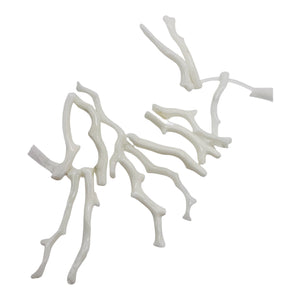 Coral Branch Beads | 37x3 to 30x2mm | White | 14 Beads |