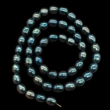 Load image into Gallery viewer, Fresh Water Perfect Beauties Pearl Strand | 8x6mm|Midnight Ocean Blue|50 Pearls|
