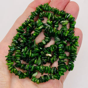 Diopside Strand Chip Bead 32" Strand | 11x8x5 to 7x5x4mm | Green | 200 Beads |