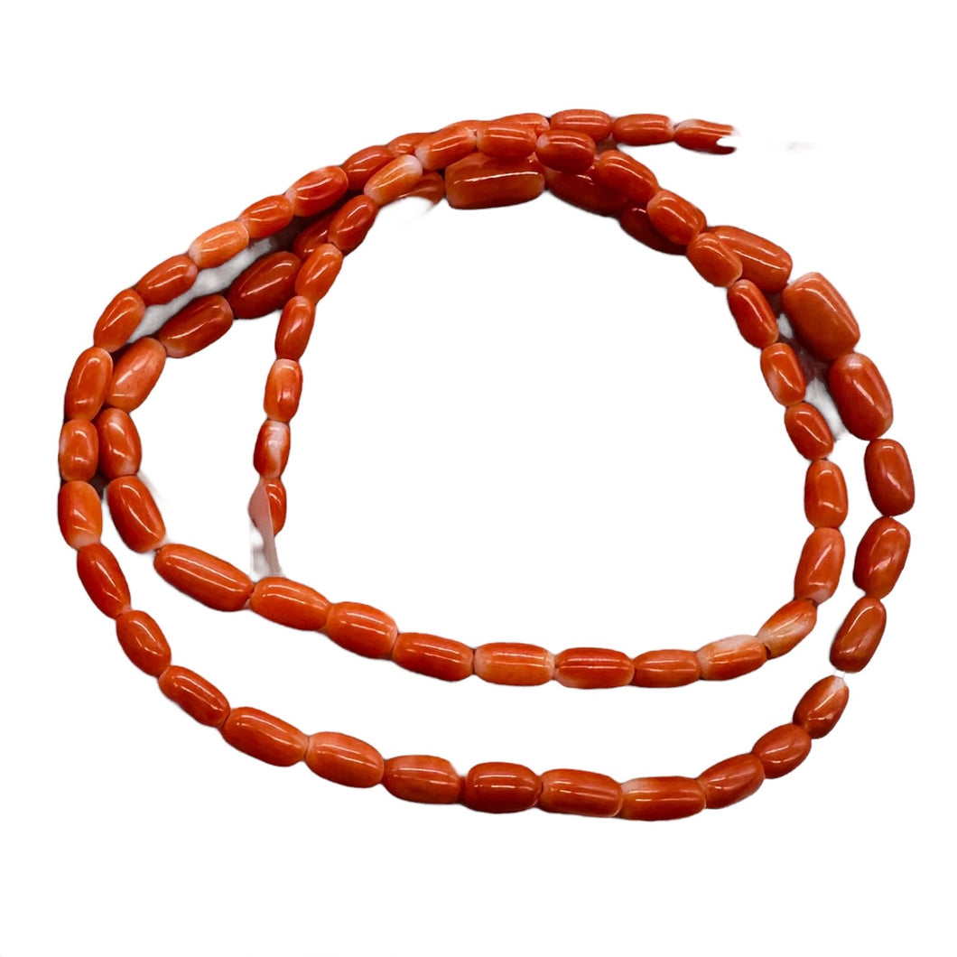 Coral Oval Graduated Beads Strand | 16