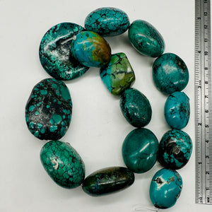 Turquoise Natural Focal Nugget Bead Strand | 181g | 16" | Blue, Black| 14 Strand