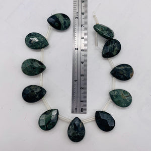 Green Kambaba Jasper Faceted Briolette Bead Strand 107304