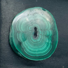 Load image into Gallery viewer, Malachite 37g Polished Round Stalactite Slice | 1 Specimen | | 46x41x7mm | Green
