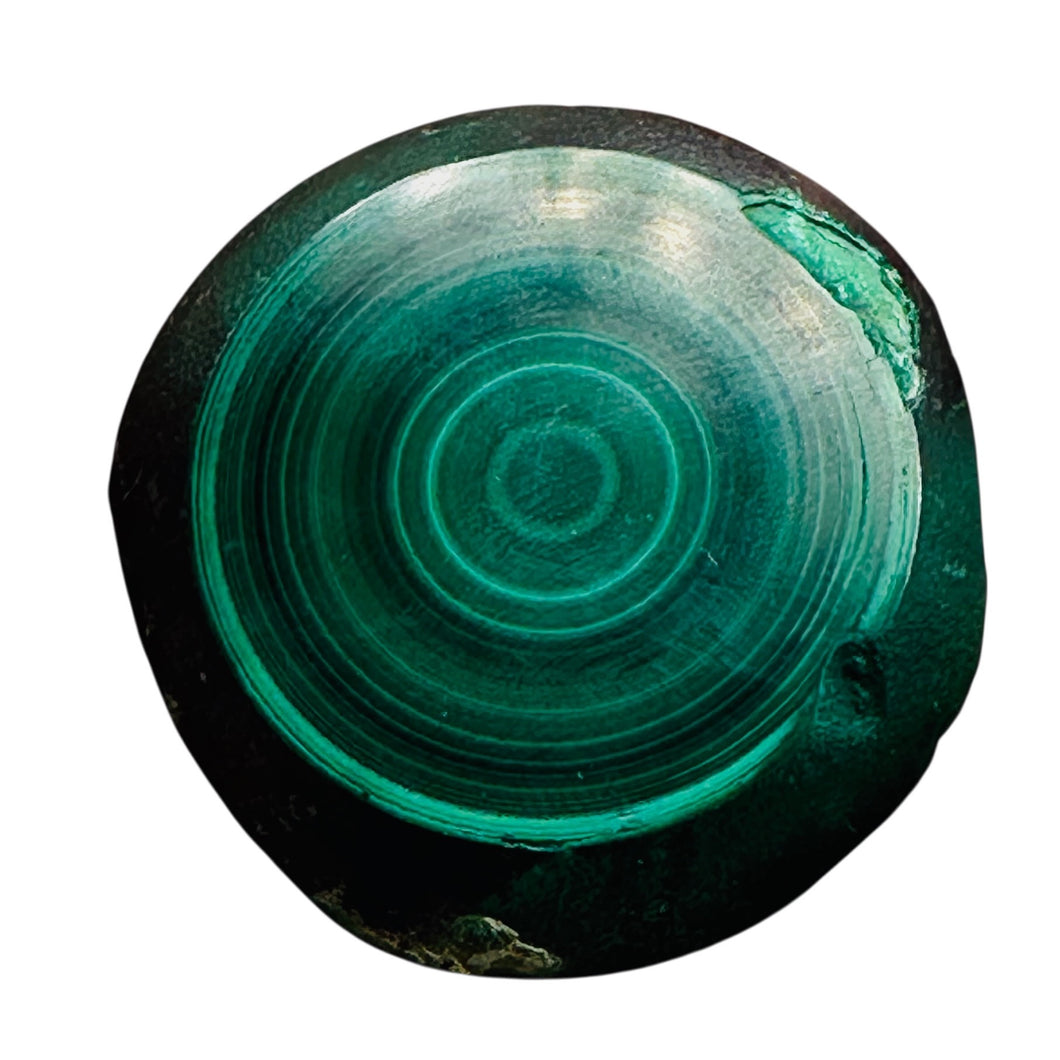Malachite 351g Polished Round Stalactite Slice | 45x42x7mm | Green | 1 Specimen|