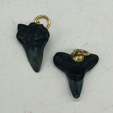 Load image into Gallery viewer, Shark Teeth Natural Pendants | 1&quot; Long | Grey, White | 2 Pendants |
