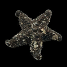 Load image into Gallery viewer, 1 Hand Carved Mica Quartz Starfish Bead | 59x54x11mm | Red White and Grey
