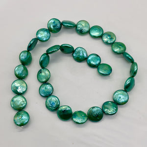 Minty Green 12 to 13mm Freshwater Coin Pearl Strand 109442