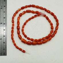 Load image into Gallery viewer, Coral Oval Graduated Beads Strand | 16&quot; Long | 8x4 to 6x3mm | Red | 1 Strand |
