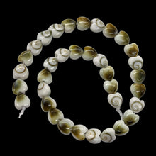 Load image into Gallery viewer, Shiva Shell Half Strand Heart Cut Beads | 6x3mm | White, Tan | 35 Beads
