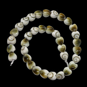 Shiva Shell Half Strand Heart Cut Beads | 6x3mm | White, Tan | 35 Beads