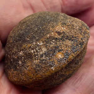 Moqui Marble Shaman Stone 83g Display Specimen | 42x35mm | Brown | 1 Specimen |