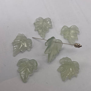 Serpentine New Jade Leaf Beads | 25x23x4 to 24x23x4mm | Light Mint | 6 Beads |