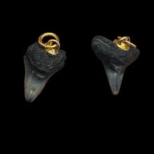Load image into Gallery viewer, Shark Teeth Natural Pendants | 1&quot; Long | Grey, White | 2 Pendants |
