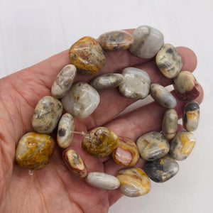 Wild Crazy Lace Agate Square Coin Bead Strand 109225