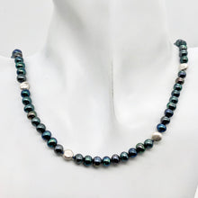 Load image into Gallery viewer, Dramatic Blue Rainbow Peacock Freshwater Pearl Sterling Silver Necklace 20 inch
