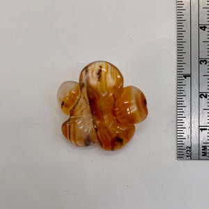 Plumeria! Carved Carnelian Hawaiian Flower Bead | Orange | 25x6mm | 1 Bead |