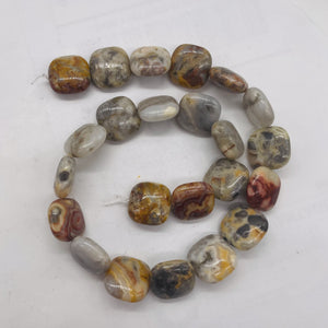 Wild Crazy Lace Agate Square Coin Bead Strand 109225