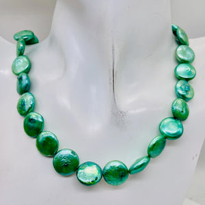 Minty Green 12 to 13mm Freshwater Coin Pearl Strand 109442